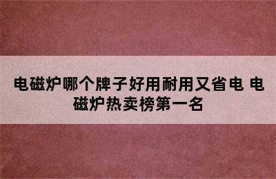 电磁炉哪个牌子好用耐用又省电 电磁炉热卖榜第一名